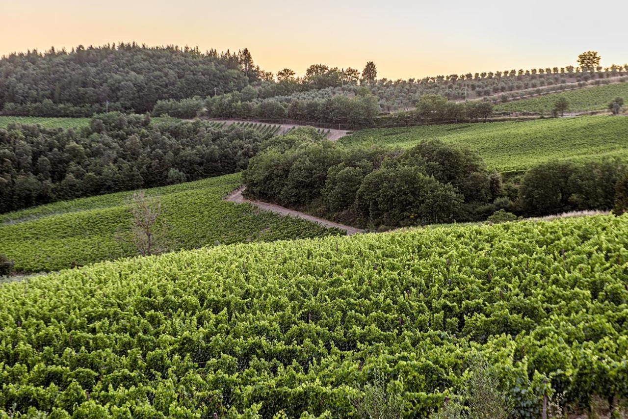 Agriturismo Concadoro Villa Castellina in Chianti Bagian luar foto