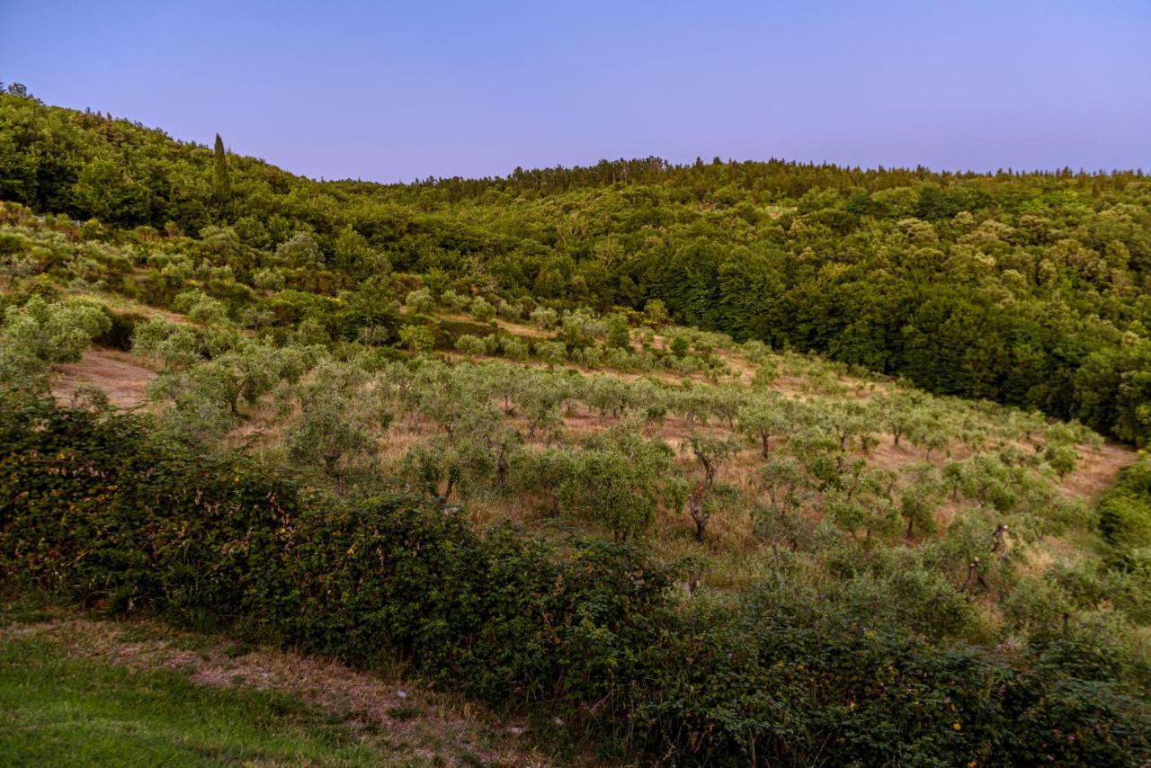 Agriturismo Concadoro Villa Castellina in Chianti Bagian luar foto