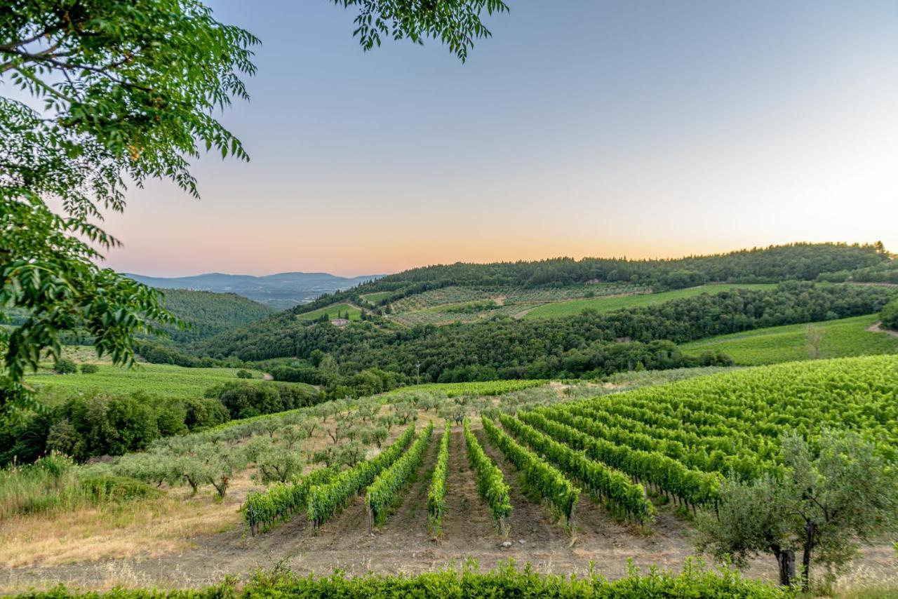 Agriturismo Concadoro Villa Castellina in Chianti Bagian luar foto