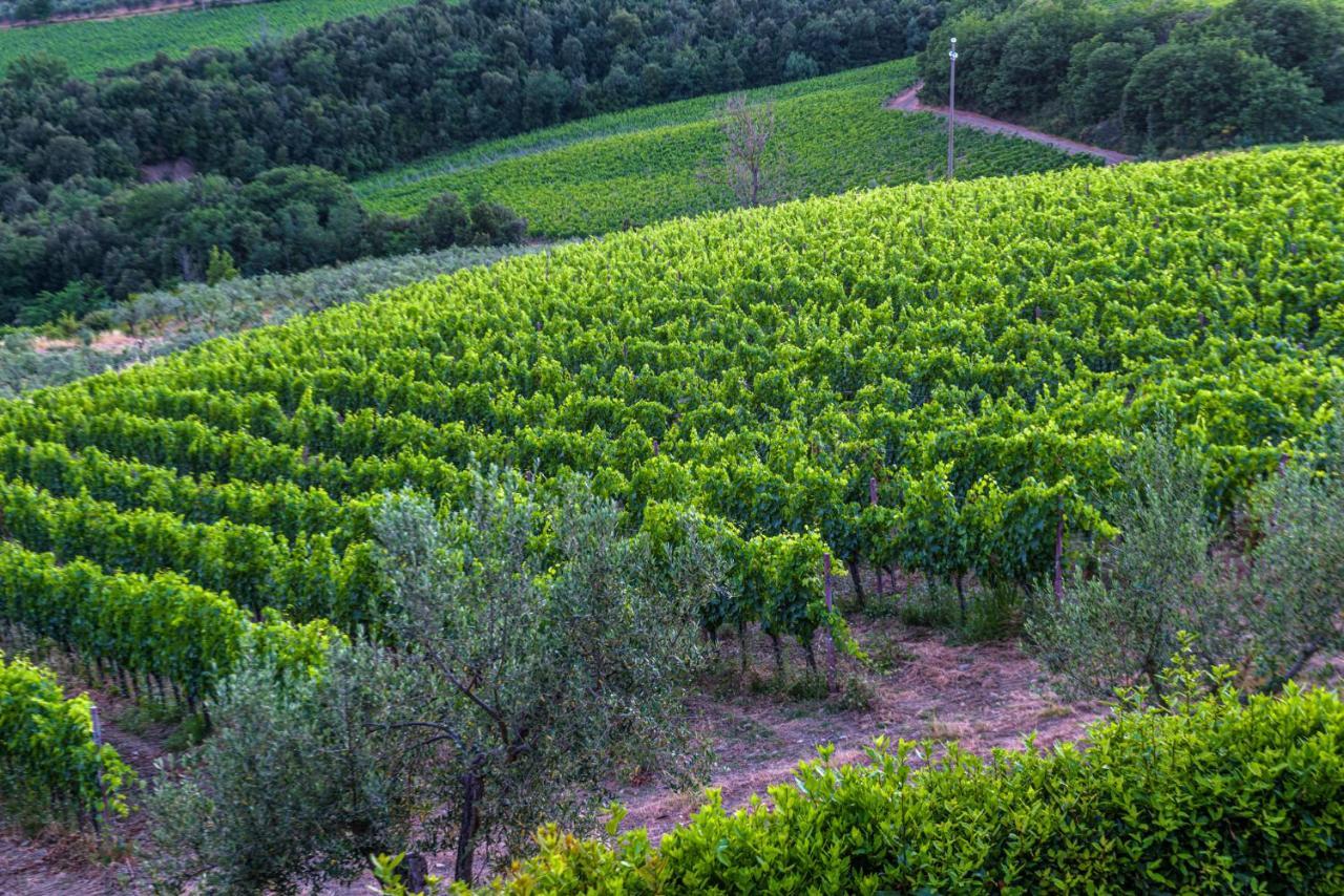 Agriturismo Concadoro Villa Castellina in Chianti Bagian luar foto